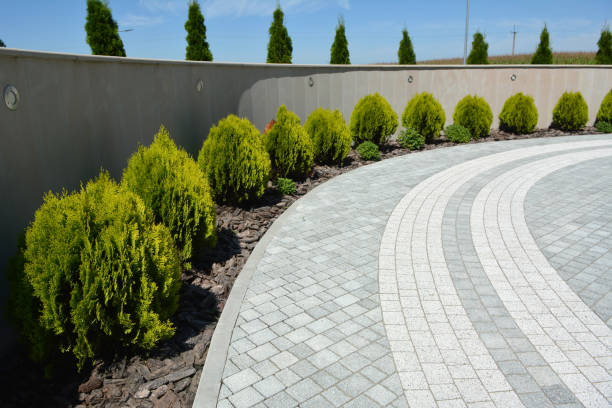 Best Professional Driveway Pavers  in Annapolis Neck, MD
